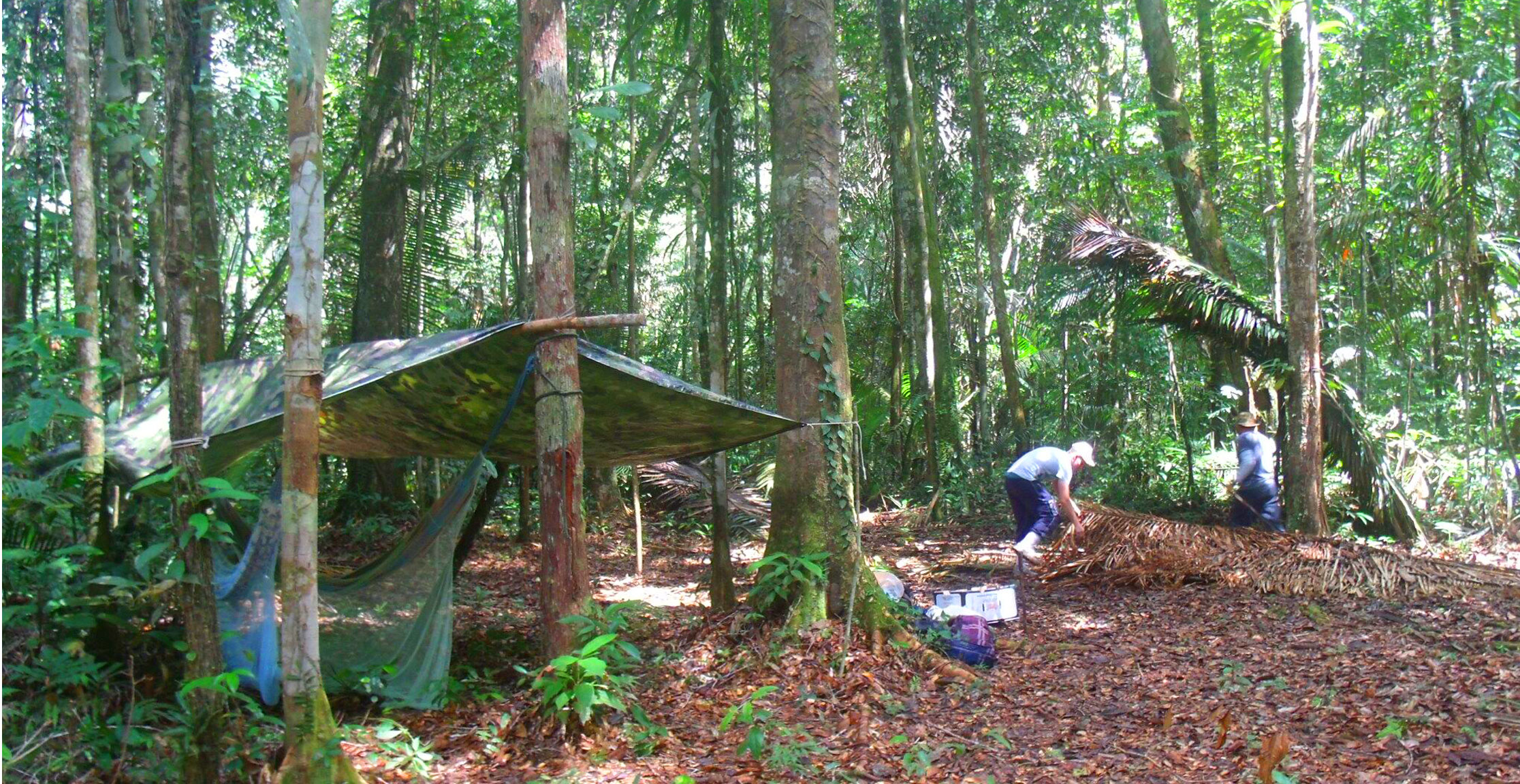 Amazon Jungle Survivor Challenge: Paddle challenge to Brazil