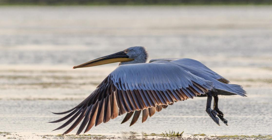 Bosnia & Montenegro Cycle