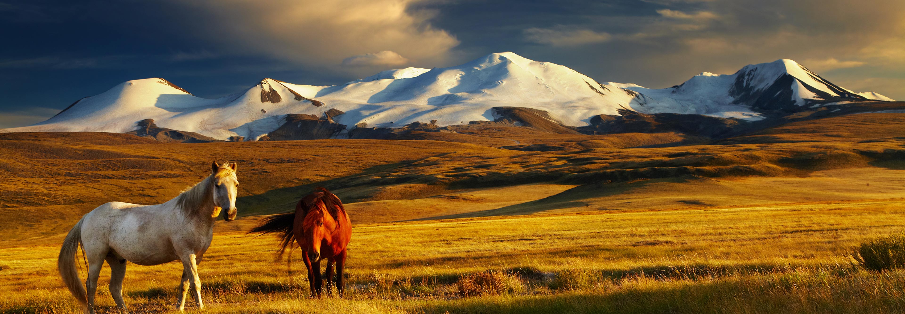Mongolian Horse Ride Horse Ride challenge to Mongolia